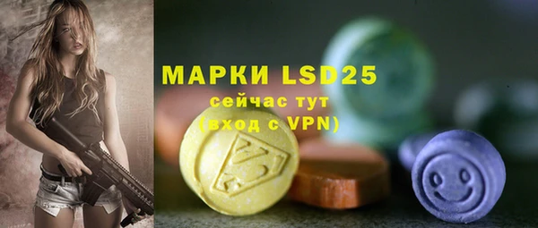 PSILOCYBIN Баксан