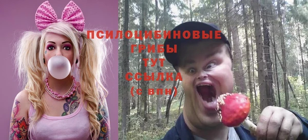PSILOCYBIN Баксан