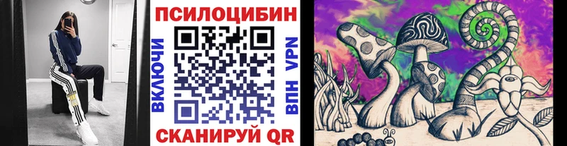 где найти   Тулун  Галлюциногенные грибы Magic Shrooms 